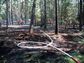 Waldbrand in der Arnsdorfer Straße in Jessen