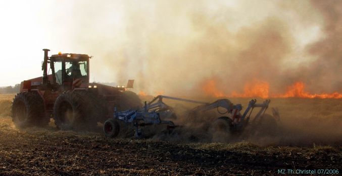 Stoppelfeldbrand zwischen Reicho und Buschkuhnsdorf