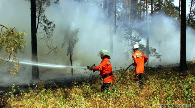 Waldbrand zwischen Morxdorf und Mark Friedersdorf