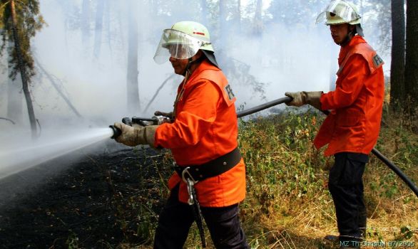 Waldbrand zwischen Morxdorf und Mark Friedersdorf