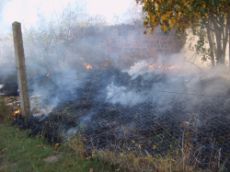 Ödlandbrand in Jessen (Elster)