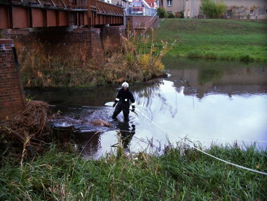 TH - Bergung Schaf