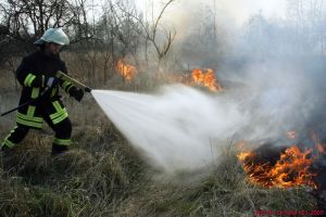 Ödlandbrand in Schweinitz