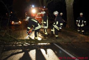 Technische Hilfeleistung in Schweinitz - Baum auf Straße