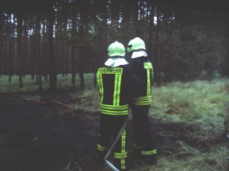 Waldbrand nach Blitzschlag