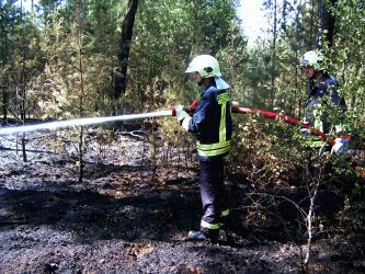 Waldbrand in der Glücksburger Heide