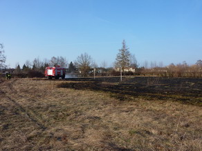 Ödlandbrand im Stadtteil Schweinitz