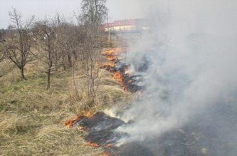 Ödlandbrand in Jessen