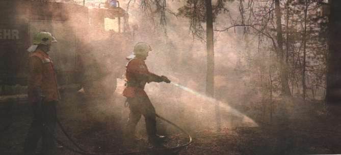 Waldbrand zwischen den OT Schweinitz und Mügeln