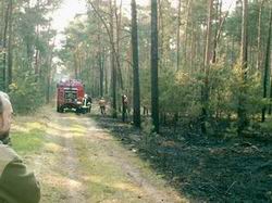 Waldbrand Arnsdorfer Straße in Jessen