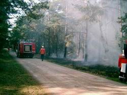 Waldbrand Arnsdorfer Straße in Jessen