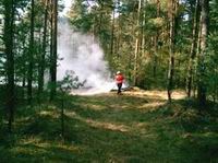 Waldbrand zwischen den OT Schweinitz und Mügeln