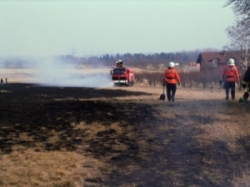 Ödlandbrand in den Schweinitzer Bergen