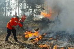 Waldbrand zwischen den OT Schweinitz und Großkorga