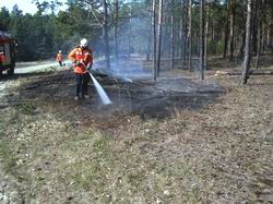 Waldbodenbrand im Eichenhain